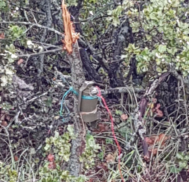 18-02/13/01-1518529675