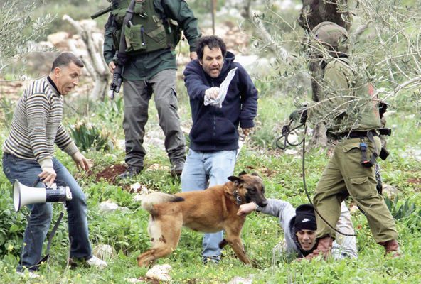 18-02/19/1843461_3d3f935b50b50a4157fb8554b865473a