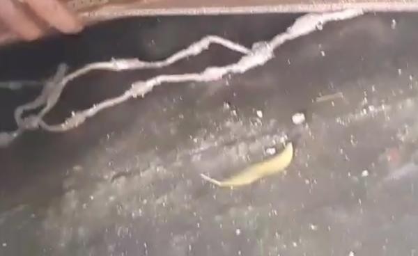 18-02/21/804c854255560390d0b9e7dd68b5541a-1519204354