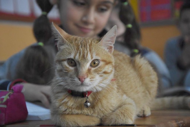 18-02/22/t2-1519300915