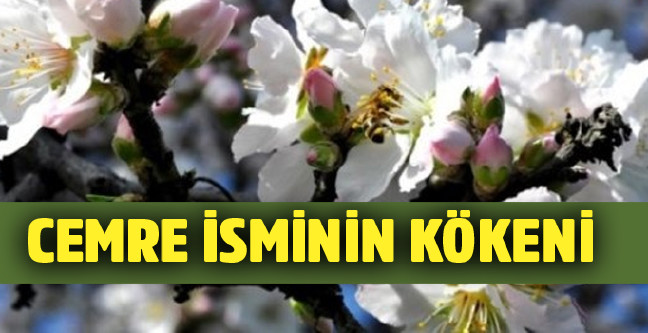 18-02/28/cemre-isminin-kokeni