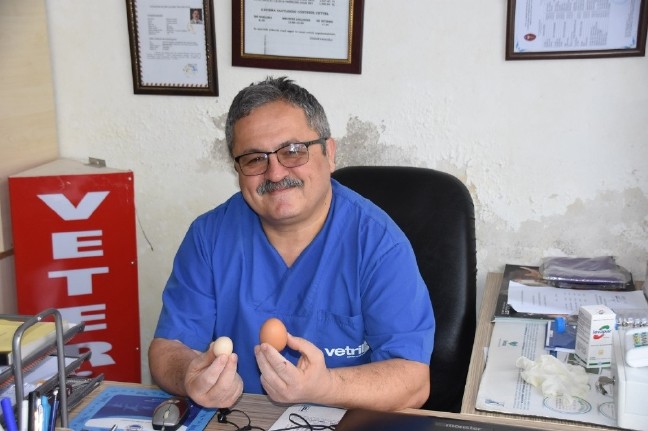 18-03/03/23-1520085280