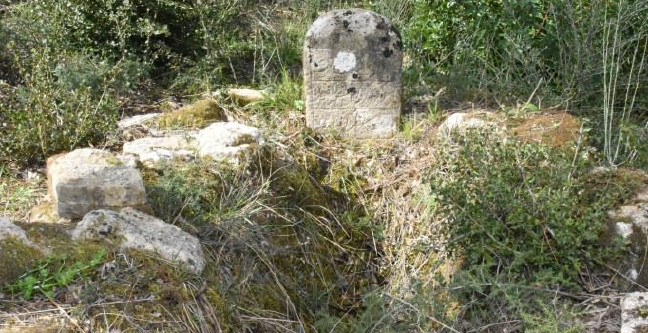 18-03/13/6-1520958410