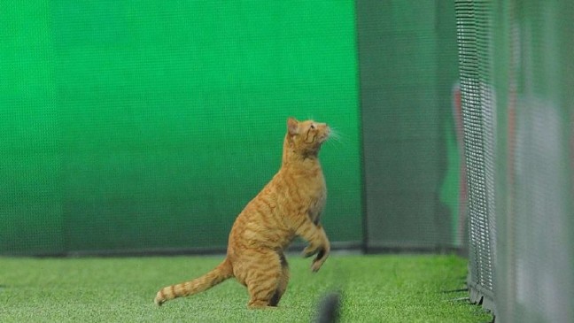 18-03/14/fth-bayer708_16_9_1521052383-880x495