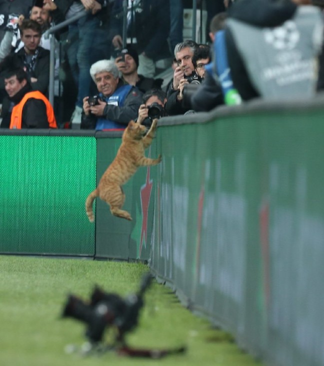 18-03/14/fth-bayer718-909x1024-1