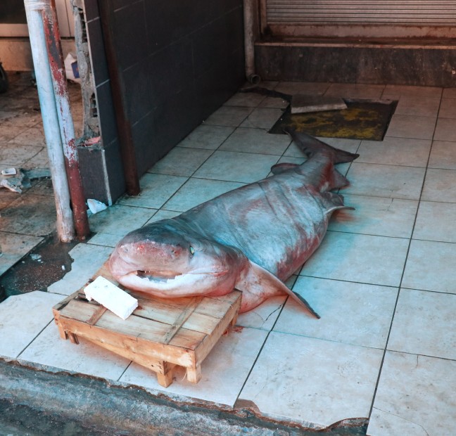 18-03/15/aw333990_04