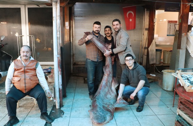 18-03/15/aw333990_06