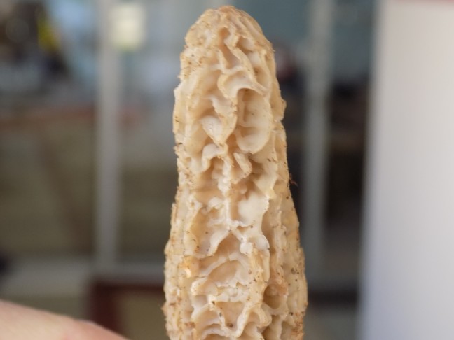 18-03/19/aw337117_01