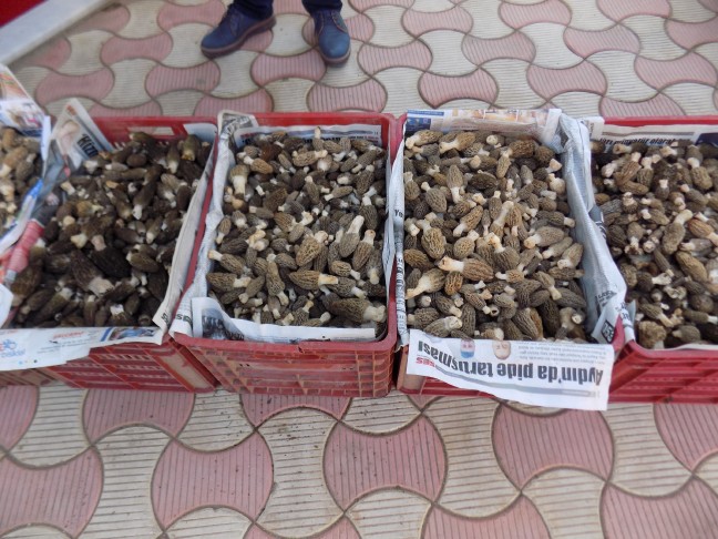 18-03/19/aw337117_02