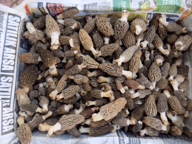 18-03/19/aw337117_04