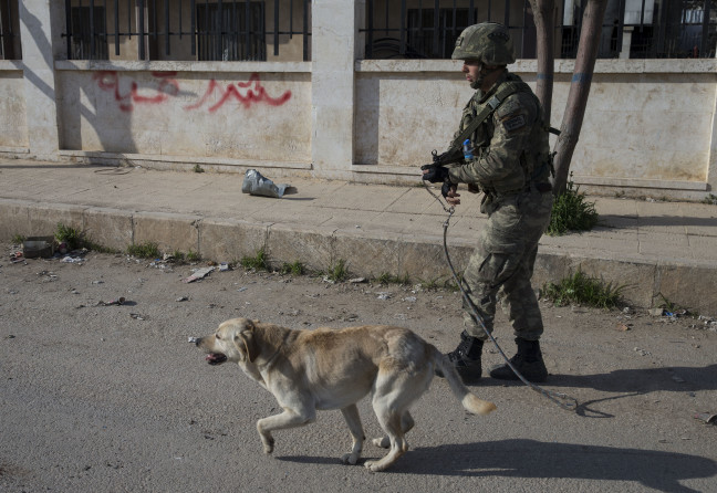 18-03/21/20180321_2_29360243_31884634