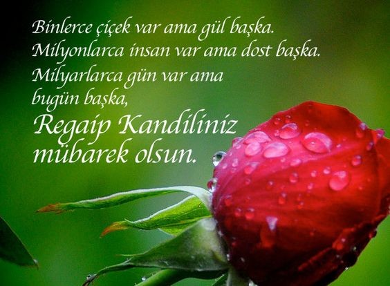 18-03/21/regaip-kandili2