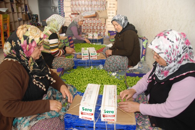 18-03/24/aw342697_03