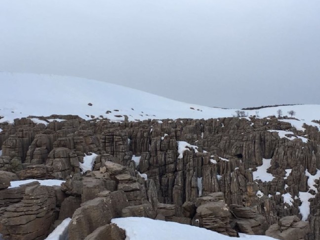 18-03/25/20180325_2_29445910_32054079