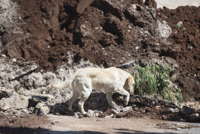 18-03/26/20180326_2_29454738_32072982