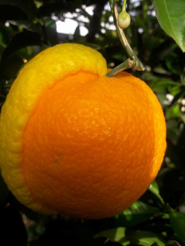 18-03/28/aw346078_02