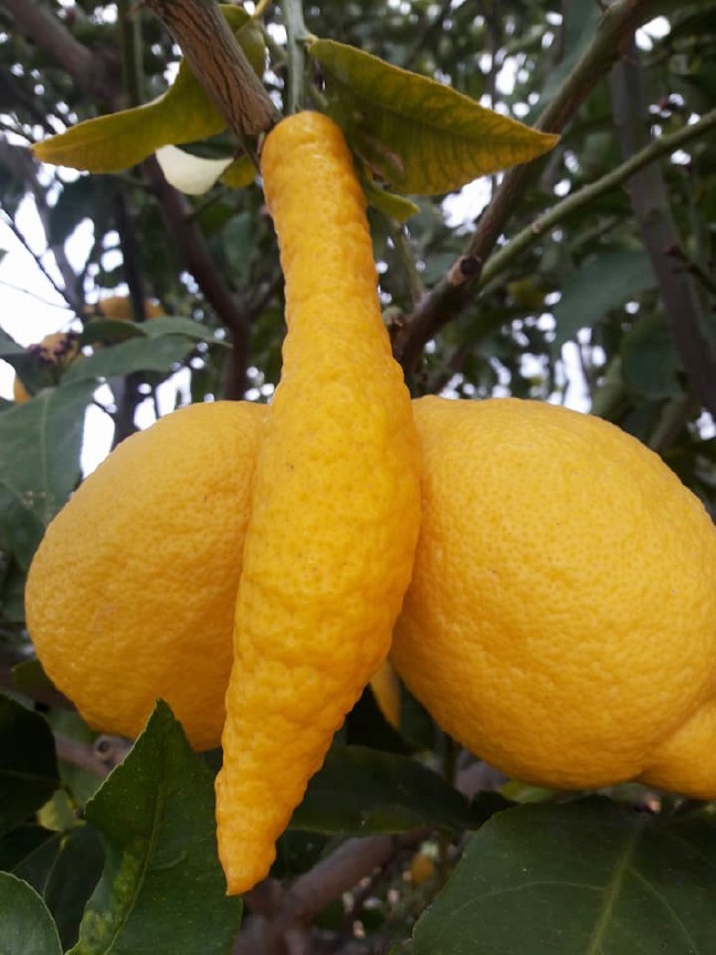 18-03/28/aw346078_03