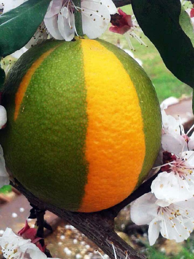 18-03/28/aw346078_04