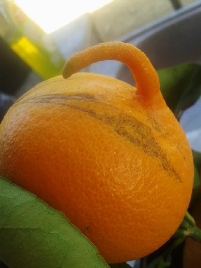 18-03/28/aw346078_07