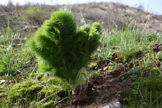 18-03/31/aw349173_07