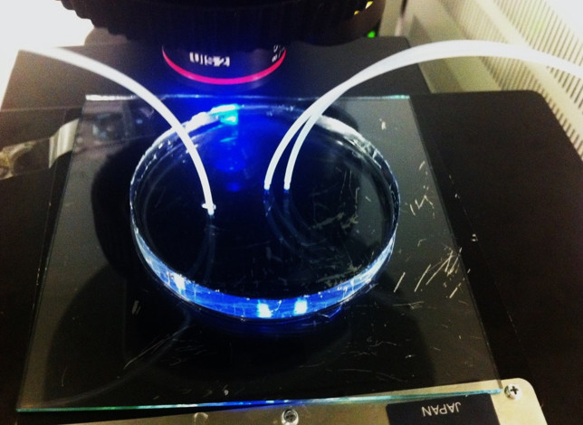 18-04/08/20180408_2_29701828_32509844