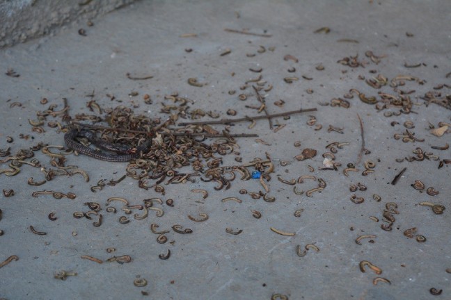 18-04/10/aw358472_04