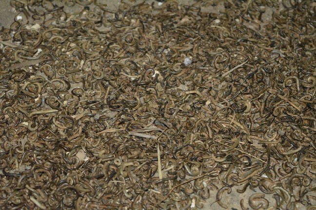 18-04/10/aw358472_09