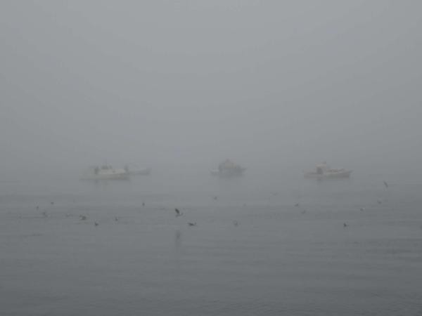 18-04/10/c465f2e9b070028e751d57f4c930b2f1-1523341873