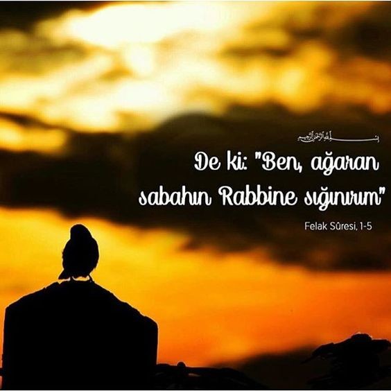 18-04/12/mirac-kandiliresim3