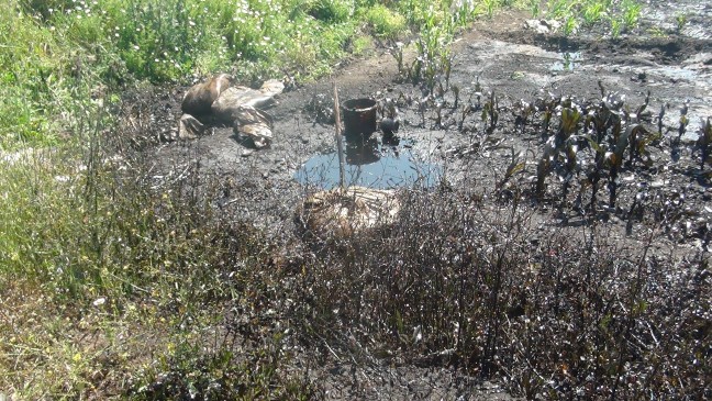 18-04/23/aw371238_04