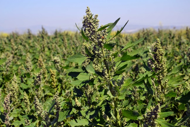 18-04/27/aw375011_02