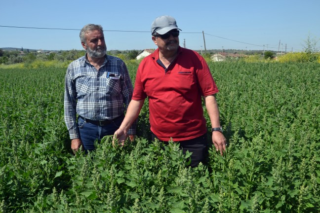 18-04/27/aw375011_05