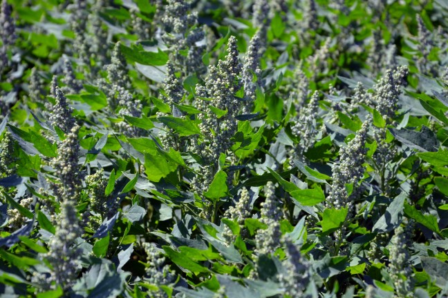 18-04/27/aw375011_06