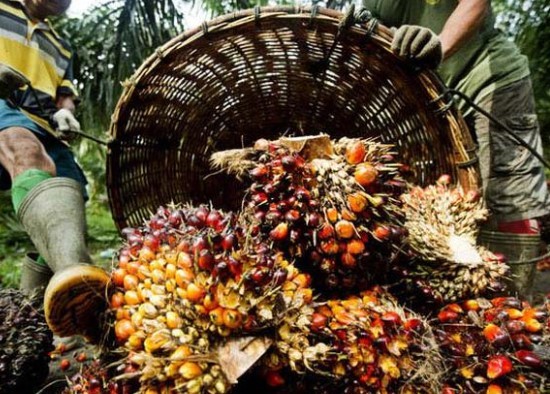 18-05/02/1-1525252221