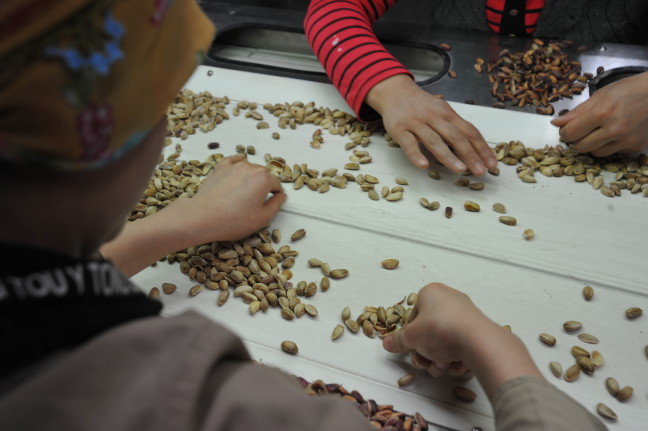 18-05/04/20180504_2_30163553_33340605