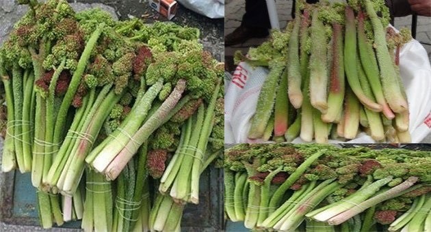 18-05/08/resized_649b2-342c67138807kanserekarsiyaylamuzu