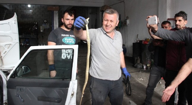 18-05/08/resized_ad259-47ebd405a384721_07