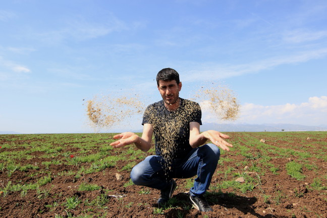 18-05/10/20180510_2_30279036_33553548