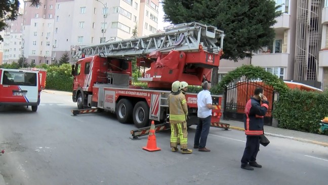 18-05/17/-1526551119