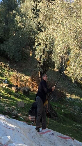 18-05/20/resimid_9661432