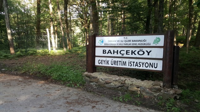 18-05/21/aw398145_02