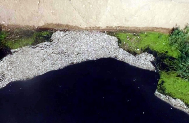 18-05/26/aw403344_07