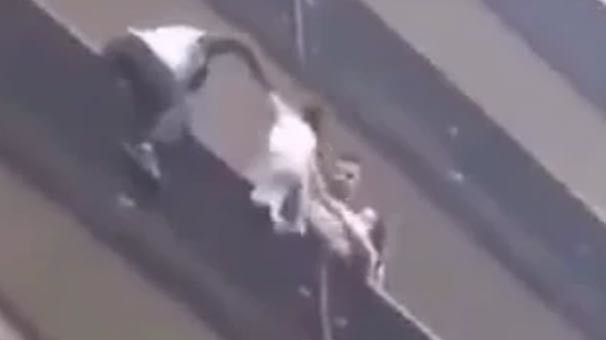 18-05/27/11-1527453233