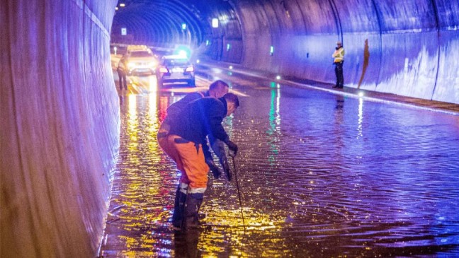 18-06/01/4-1527838983