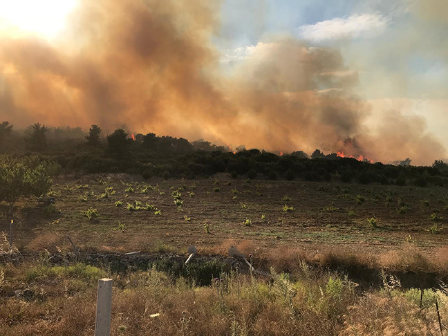 18-06/01/resimid_9754411-1527868507