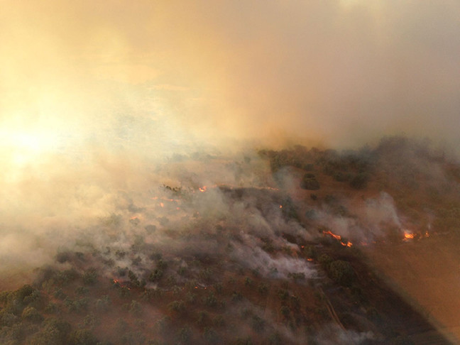 18-06/01/resimid_9754654