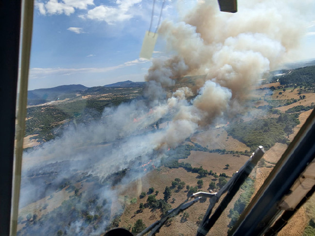 18-06/01/resimid_9754790