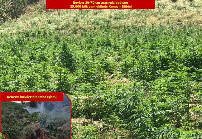 18-06/02/20180602_2_30686596_34281201