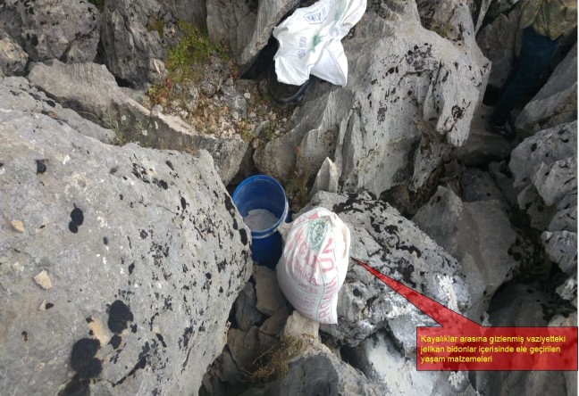 18-06/02/20180602_2_30686596_34281207