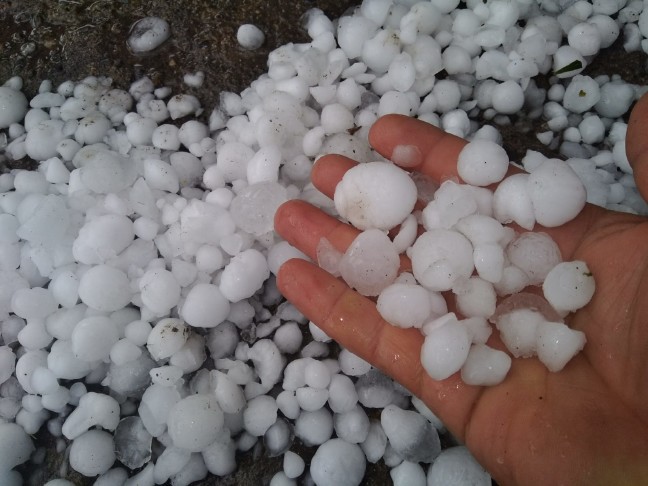 18-06/02/20180602_2_30694539_34297145